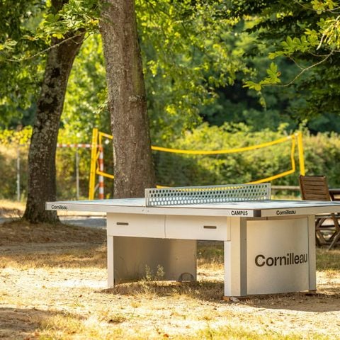 Camping Château La Forêt - Camping Vendée - Afbeelding N°6