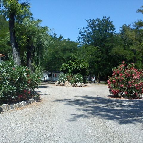 PLOT - Package for 2 people + caravan or tent + car