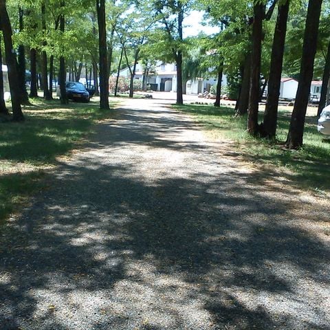 EMPLACEMENT - Forfait 2 personnes + caravane ou tente + voiture