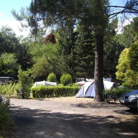 STAANPLAATS - Camping
