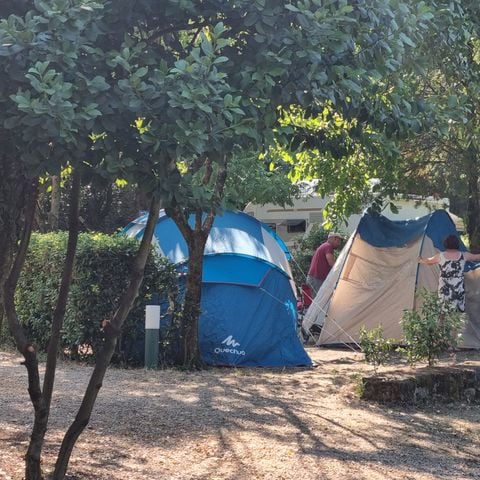 STAANPLAATS - Camping