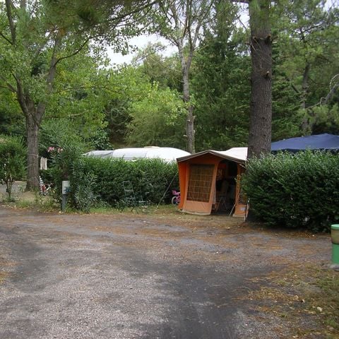 PARCELA - Camping
