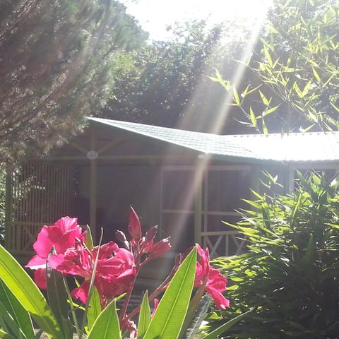 CHALET 2 people - Gitotel 1 bedroom