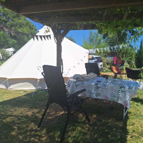 Kampeerplaats - Premium standplaats voor tent / caravan 2/7 pers. + 10 A