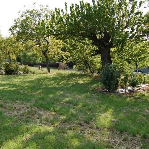 PLOT - Standard pitch for tent / caravan, car + 10 A