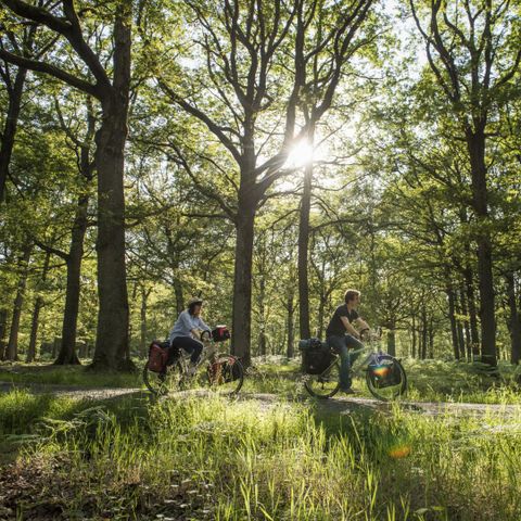 Camping Le Lizot Camping Le Lizot - Camping Charente-Maritime - Image N°20