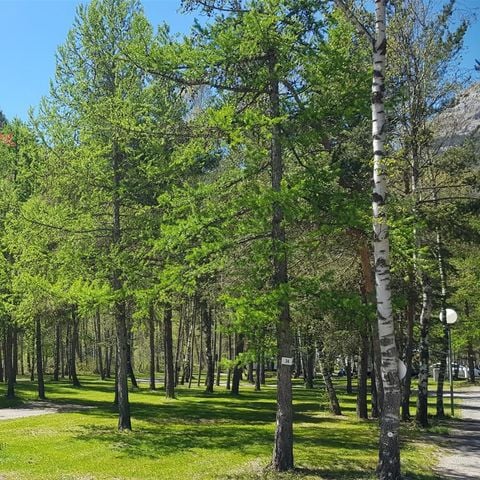 PLOT - Comfort - More than 100 m²