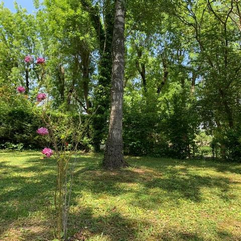 STAANPLAATS - Tentplaats (met elektriciteit)