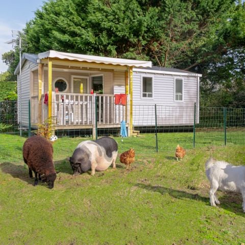 MOBILHOME 4 personnes - Confort - 30 m² - 2 chambres - Vue Ferme