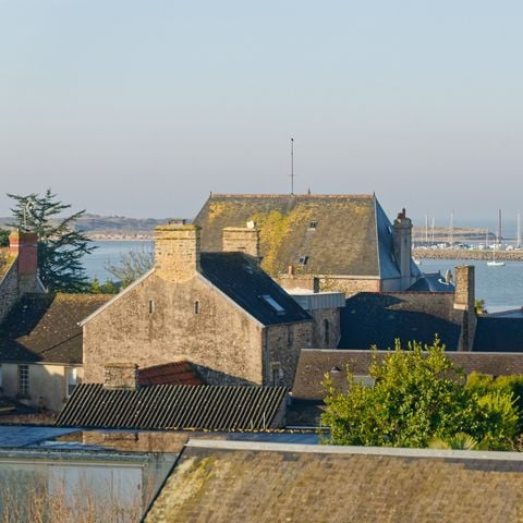 STUDIO 3 persone - Nebbia -2/3 persone