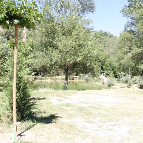 STAANPLAATS - Natuur arrangement (1 tent, caravan of camper / 1 auto)