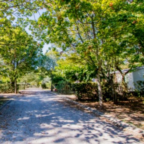 CASA MOBILE 7 persone - 3 Camere da letto PREMIUM