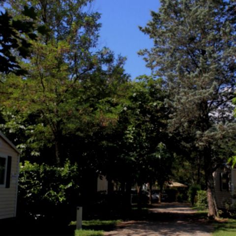 MOBILE HOME 4 people - 2 CH. CONFORT +