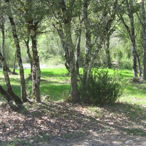 STAANPLAATS - Pakket met voertuig