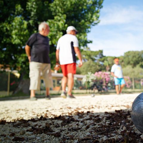 Camping Le Logis Camping Le Logis - Camping Charente-Maritime - Image N°21