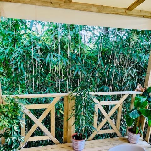 BUNGALOW 4 personnes - MOBIL-HOME B25 - 2 CH - 4 pers - 35m2