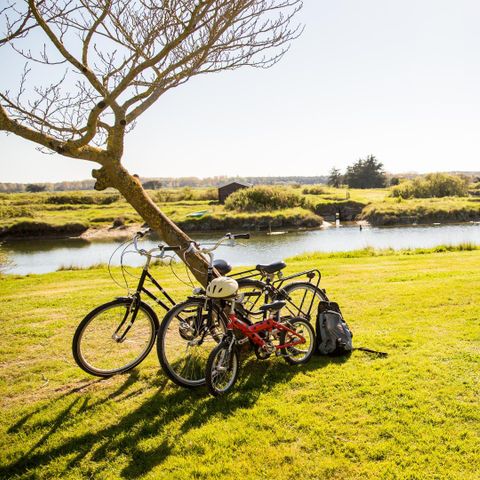 Camping La Dive Camping La Dive - Camping Vendée - Image N°34