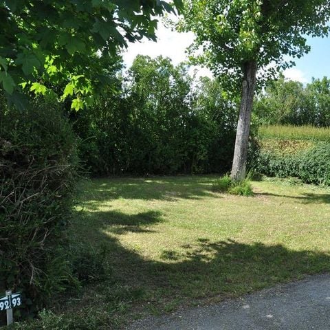 STAANPLAATS - 6A stroom comfortpakket (1 tent, caravan of camper / 1 auto)