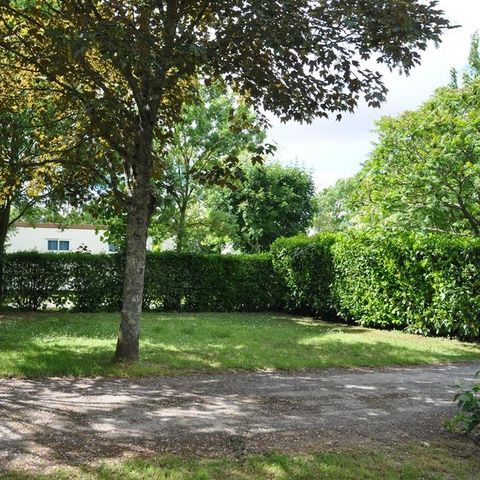 STAANPLAATS - 6A stroom comfortpakket (1 tent, caravan of camper / 1 auto)