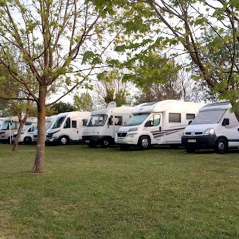Kampeerplaats - Comfort XL-arrangement - 1 tent - Caravan of camper / - 1 auto - / stroom 6