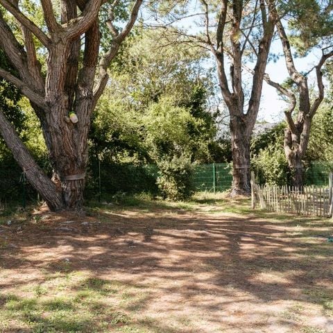 PLOT - Comfort package: tent, caravan or motorhome / 1 car / 10A electricity 2 pers.