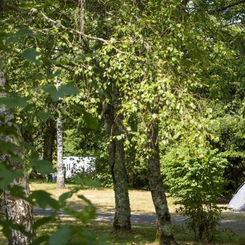 PIAZZOLA - Pacchetto natura, senza elettricità