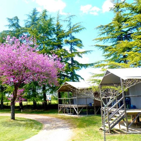 UNIEKE ACCOMMODATIE 6 personen - HUT OP STILTE