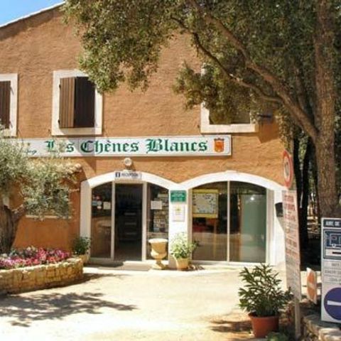 Camping Domaine des Chenes Blancs - Camping Vaucluse - Image N°18