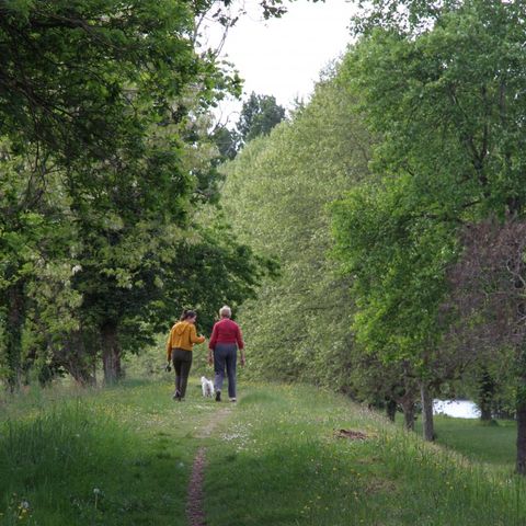 Camping Les Rives de l'Adour - Camping Paradis Camping Les Rives de l'Adour - Camping Paradis - Camping Landes - Image N°40