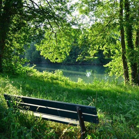 Camping Les Rives de l'Adour - Camping Paradis Camping Les Rives de l'Adour - Camping Paradis - Camping Landes - Image N°36