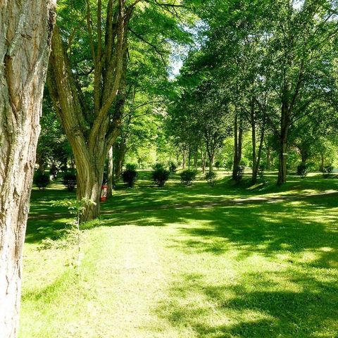 PIAZZOLA - Piazzola + 1 auto + tenda, roulotte o camper