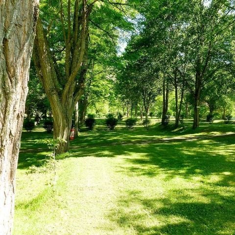 Stellplatz - Stellplatz + 1 Auto + Zelt, Wohnwagen oder Wohnmobil