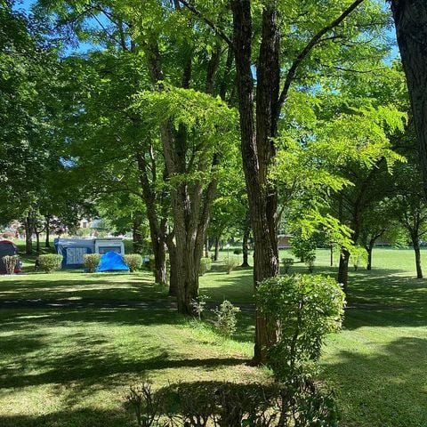 PARCELA - Parcela + 1 coche + tienda, caravana o autocaravana