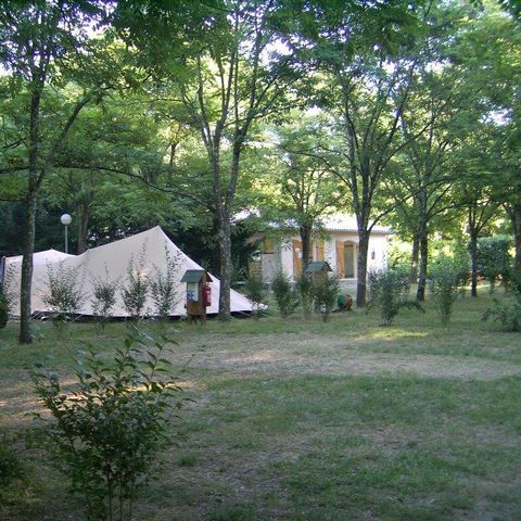 Kampeerplaats - Comfortpakket (1 tent, 1 caravan of camper / 1 auto / 8A elektriciteit)