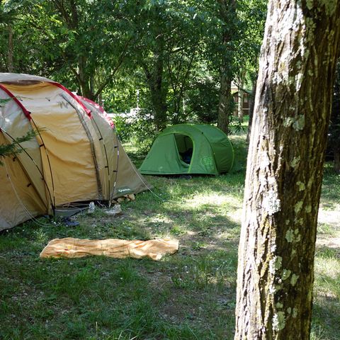 Kampeerplaats - 90m² + sanitaire cabine, koelkast en plancha