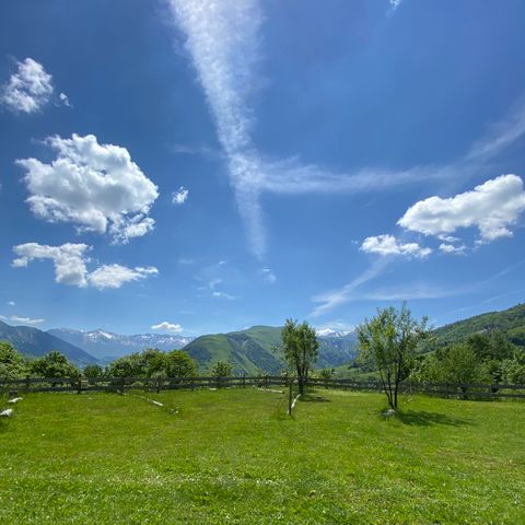 Stellplatz - Stellplatz Zelt