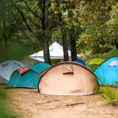 Kampeerplaats - Comfortpakket: tent / bestelwagen / elektriciteit