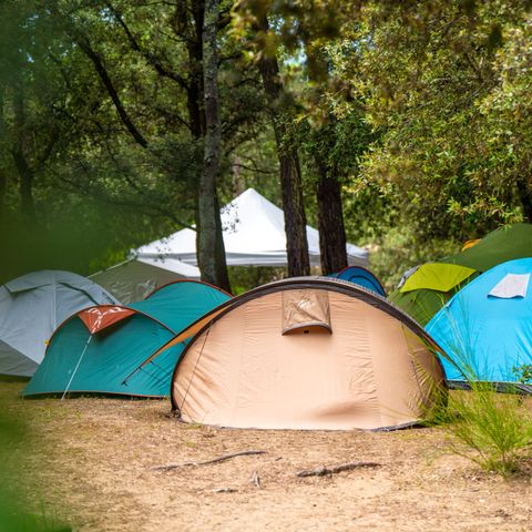 Stellplatz - Pauschale Komfort: Zelt / Van / Strom