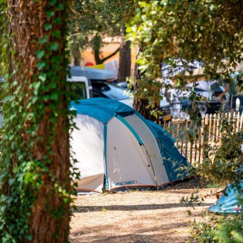Kampeerplaats - Comfortpakket: tent / bestelwagen / elektriciteit