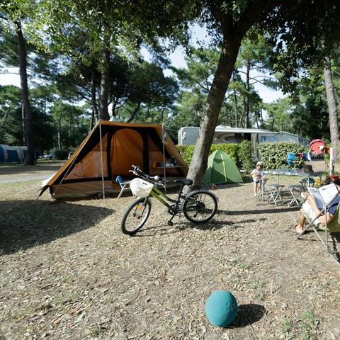 Kampeerplaats - Privilege pakket (1 tent, caravan of camper / 1 auto / 10A elektriciteit) + Wateraansluiting en afvoer