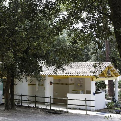 PARCELA - Paquete confort (1 tienda, caravana o autocaravana / 1 coche / electricidad 10A)