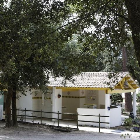 PIAZZOLA - Pacchetto Comfort (1 tenda, roulotte o camper / 1 auto / elettricità 10A)