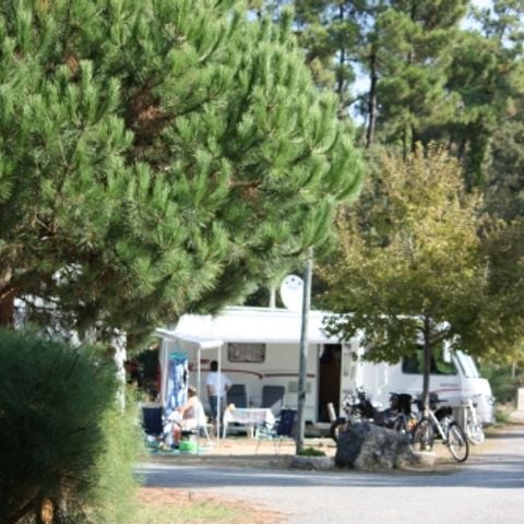 PARCELA - Paquete confort (1 tienda, caravana o autocaravana / 1 coche / electricidad 10A)