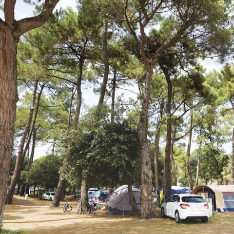 Kampeerplaats - Comfortpakket (1 tent, caravan of camper / 1 auto / 10A elektriciteit)