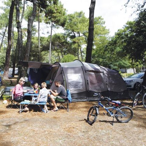 Kampeerplaats - Comfortpakket (1 tent, caravan of camper / 1 auto / 10A elektriciteit)