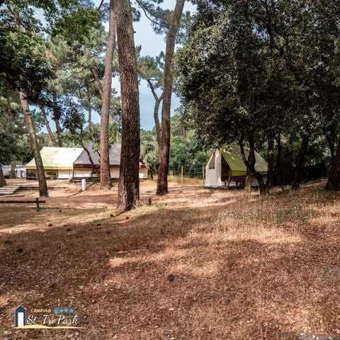 LODGE 4 personnes - Tente Écolodge Confort 17m² (2 chambres) - sans sanitaires