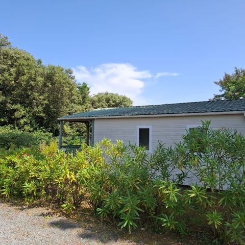 Chalet 6 personen - Premium 34m² - 3 slaapkamers - Airconditioning - Afwasmachine - Overdekt terras
