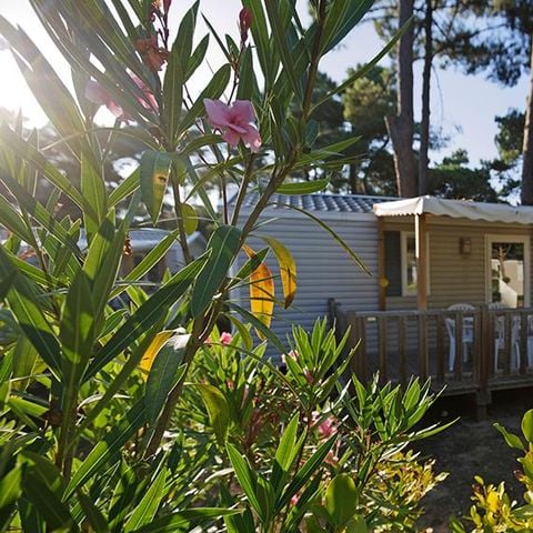 Stacaravan 4 personen - Comfort stacaravan 27.5m² (2 kamers) + 11m² halfoverdekt houten terras