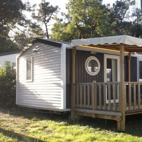 CASA MOBILE 6 persone - COMFORT PLUS 31m² (31m²)