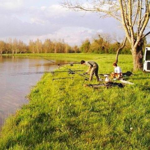 Camping Les Rulières Camping Les Rulières - Camping Vendée - Image N°9